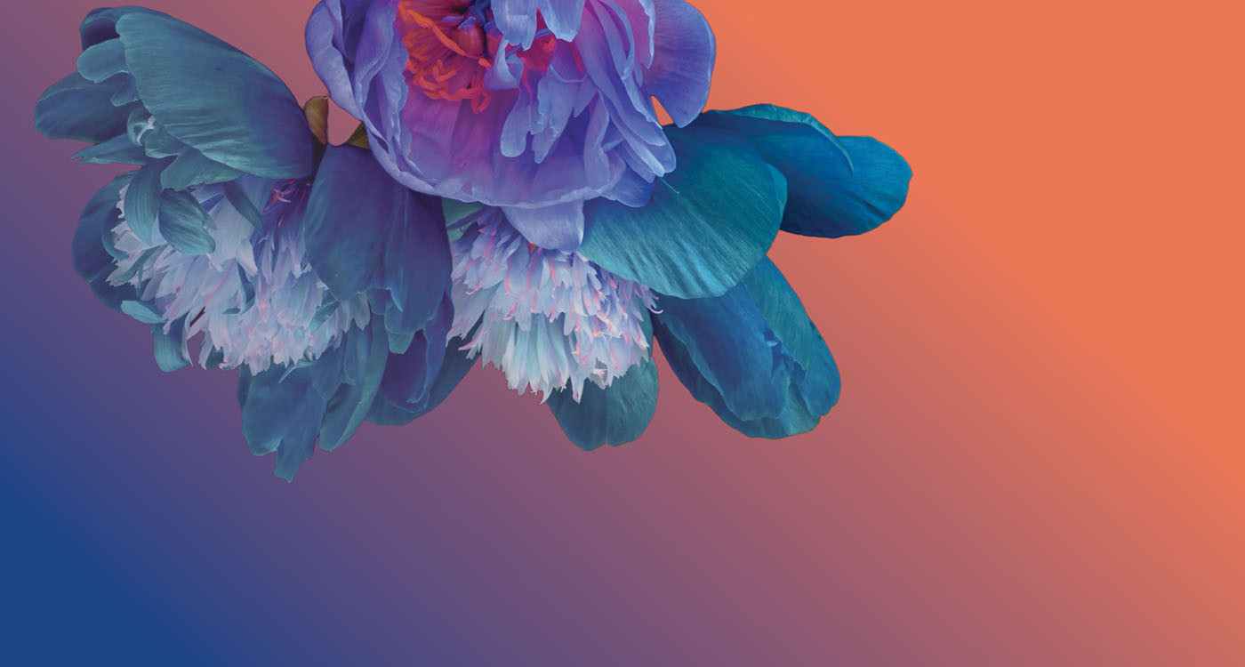 Thanksgiving Charity Gala Dinner