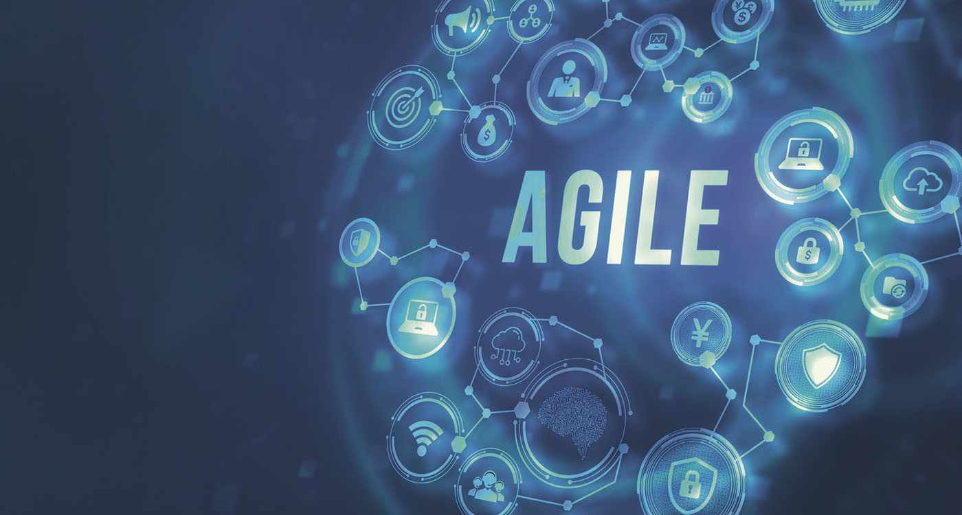 Understanding the Agile Coaching Competencies