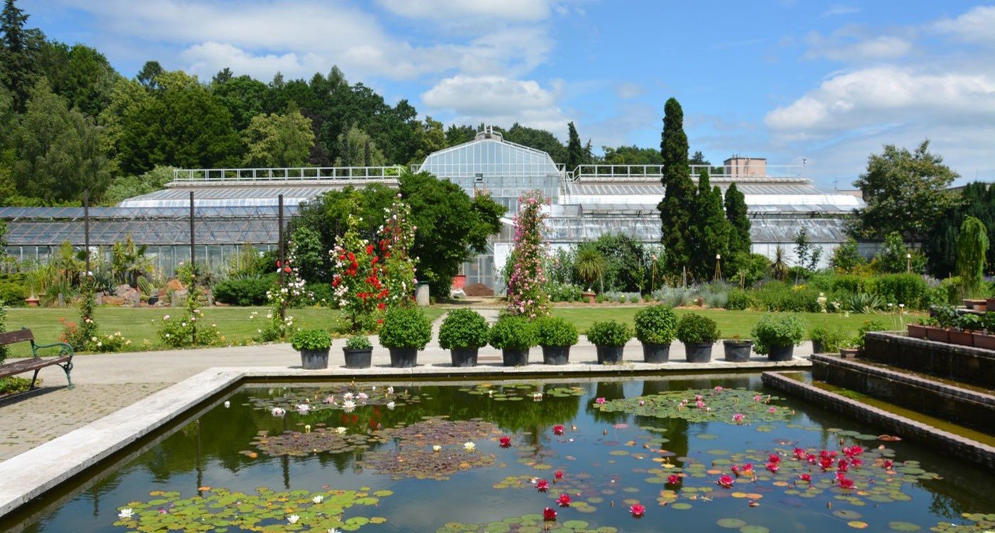 Thanksgiving Charity Gala Dinner