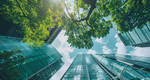 ESG in Transition: Staying Ahead in a Changing World